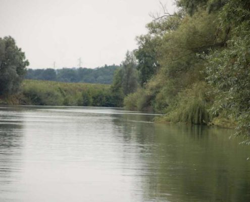 A rich and diverse nature can be discovered on the Marne river banks from silent electric boats electric licence-free boat