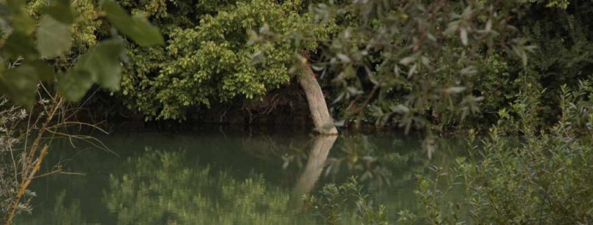 Discover the fauna and flora of the Marne with Marin d’Eau Douce