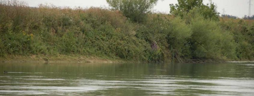 Discover the wild river banks of the Marne with an electric, licence-free boat