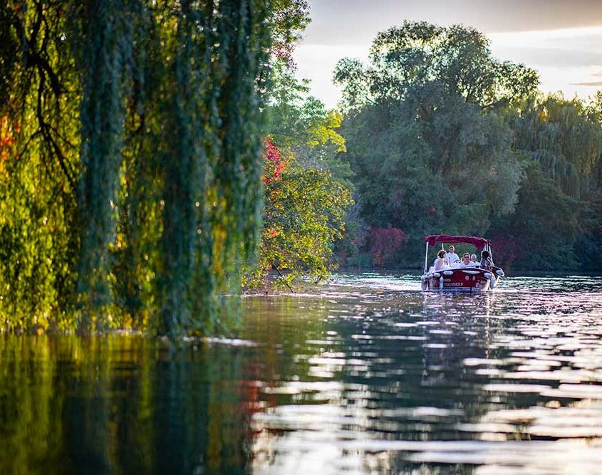 Rent one of our electric and license free boat to enjoy the nature around Strasbourg