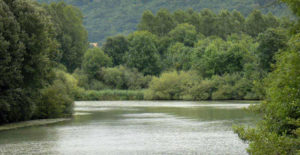 Rich and diverse landscapes on the Marne