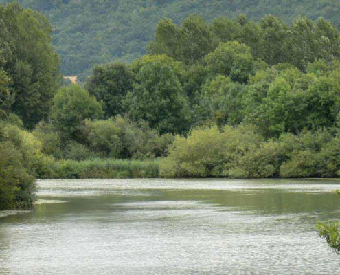 Rich and diverse landscapes on the Marne