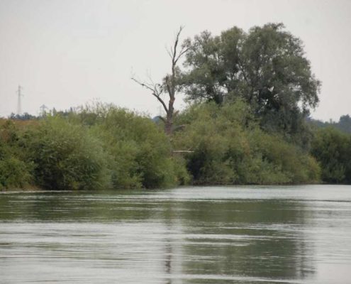 Sailing on the Marne with our licence-free boats