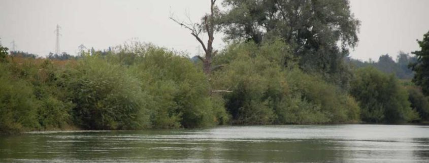 Sailing on the Marne with our licence-free boats