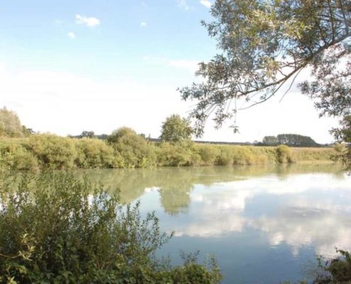 The Marne, a green bower to discover by boat