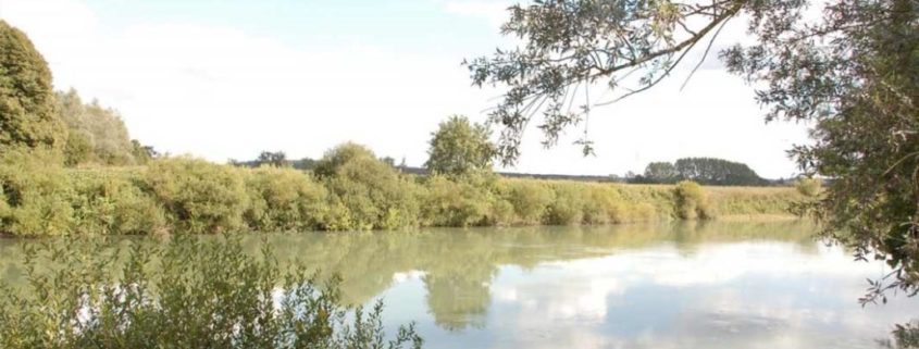 The Marne, a green bower to discover by boat