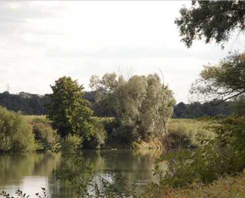 The Marne seen from the river banks