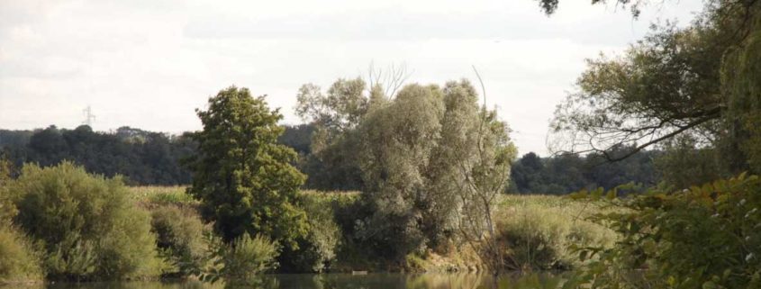 The Marne seen from the river banks